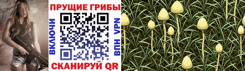 Галлюциногенные грибы прущие грибы  наркотики  Невьянск 